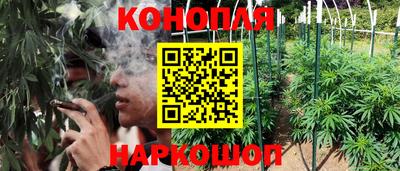 молекула духа Обнинск